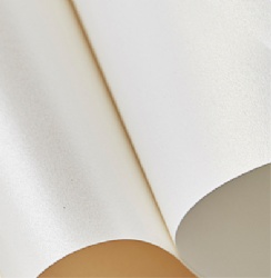 Coated Specialty Paper Pearlescent Paper